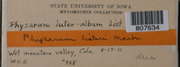 Image Associated With the Occurence